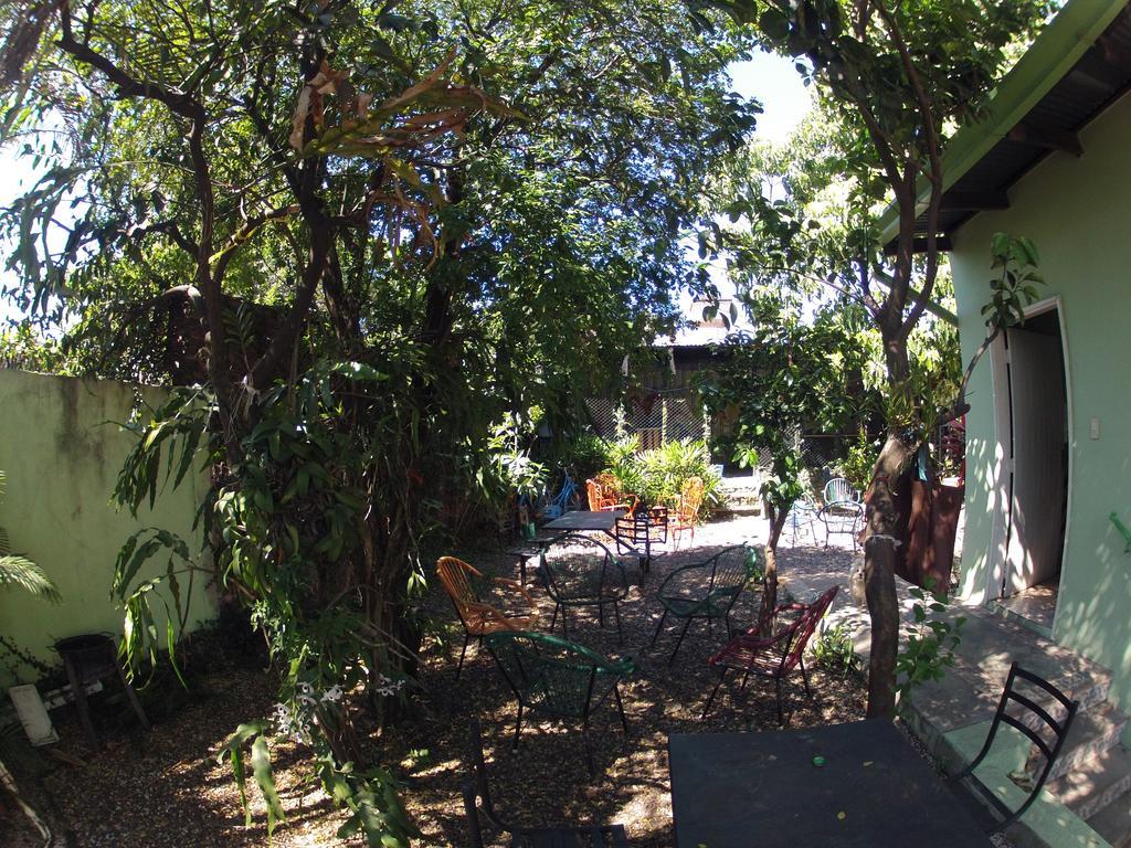 Hamaca Paraguaya Hostel Asuncion Extérieur photo