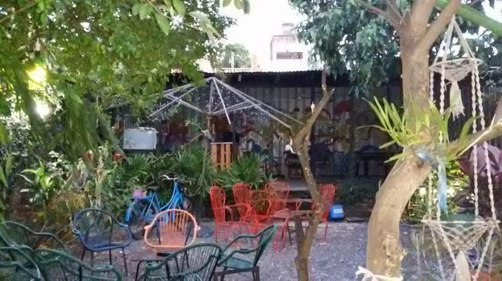 Hamaca Paraguaya Hostel Asuncion Extérieur photo
